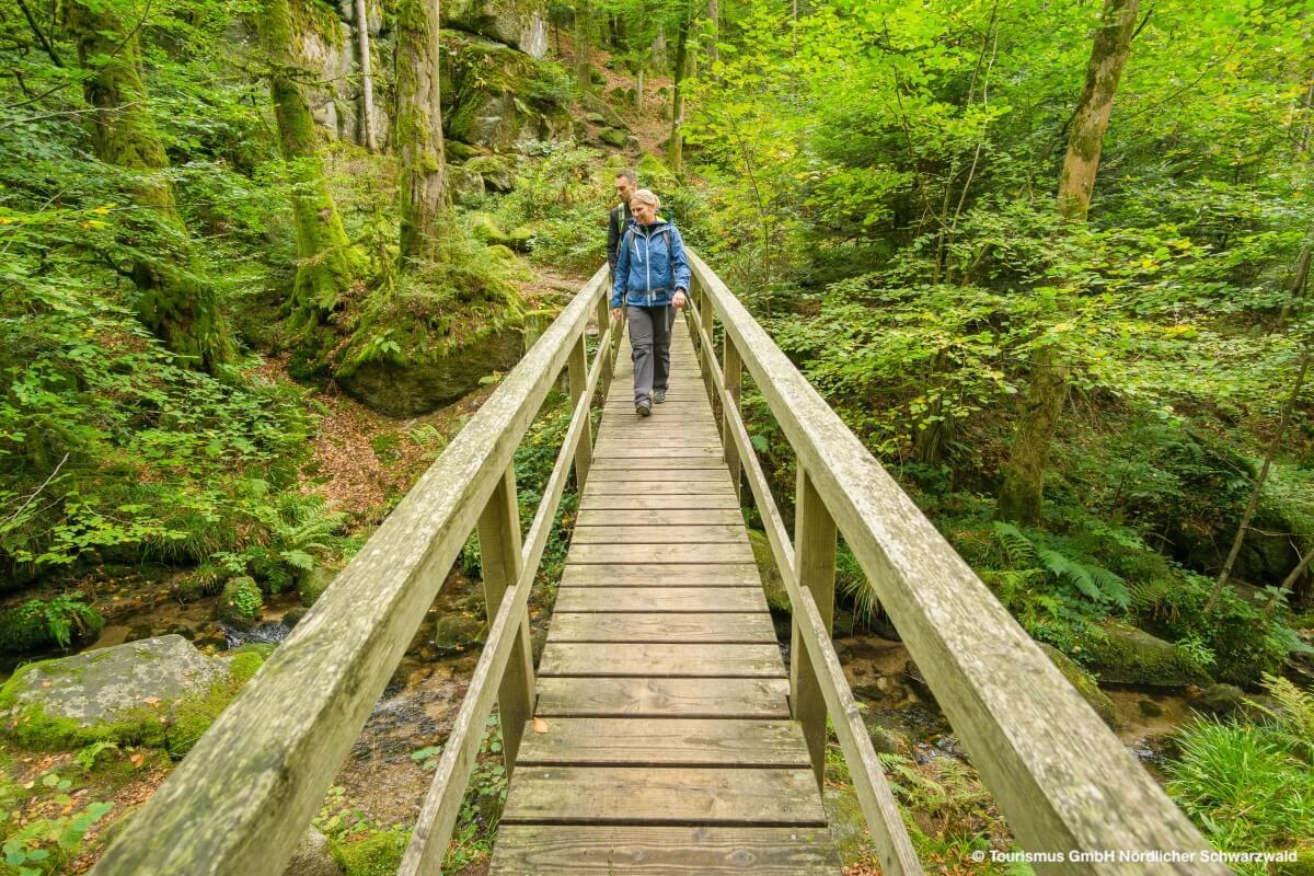 Wildkatzenpfad in Bad Herrenalb © Tourismus GmbH Nördlicher Schwarzwald